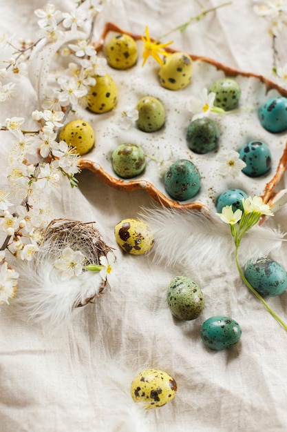 Felices Pascuas Elegantes huevos de Pascua y flores de primavera en flor en una mesa rústica Huevos de codorniz pintados naturales en plumas de bandeja y flores de cerezo en tela de lino Bodegón rústico de Pascua