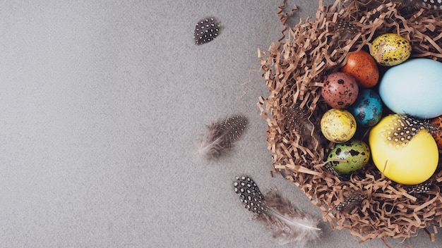 Felices Pascuas. Fondo de Pascua de felicitación brillante. Vista superior, endecha plana, espacio de copia. Coloridos huevos de Pascua y plumas en un nido sobre un fondo gris, primer plano.