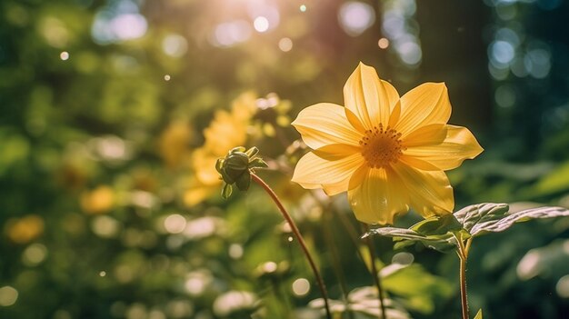 Foto la felicidad botánica los cautivadores paisajes florales y las escenas del atardecer