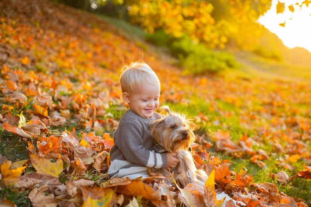 Felicidad simple. Juego de niños con perro yorkshire terrier. Niño pequeño disfruta del otoño con un amigo perro. Niño pequeño bebé en día soleado de otoño a pie con perro. Infancia feliz. Dulces recuerdos de la infancia