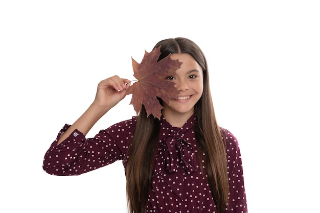 Felicidade da infância. beleza natural. moda outono. menina adolescente segura folha de plátano. criança engraçada se divertindo com folha de plátano, isolada no fundo branco. natureza do outono.