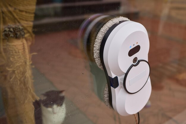 Un felino carnívoro con bigotes observando un pequeño limpiador de ventanas robótico