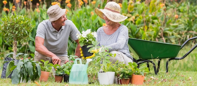 Feliz abuela y abuelo de jardinería