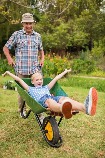 Feliz abuelo y su nieta con una carretilla