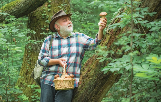 Feliz abuelo verano y pasatiempos anciano caminando abuelo pensionista senior senderismo en bosque feliz