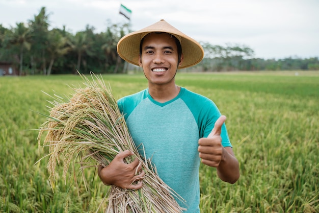 Feliz agricultor asiático con granos de arroz en el campo