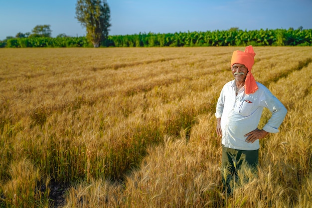 Feliz agricultor indiano Rural no campo agrícola