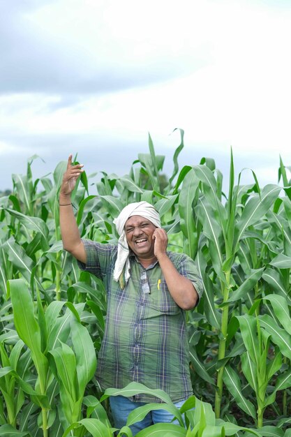 feliz agricultor maduro em pé no campo de trigo VERDE e de mãos dadas no ar