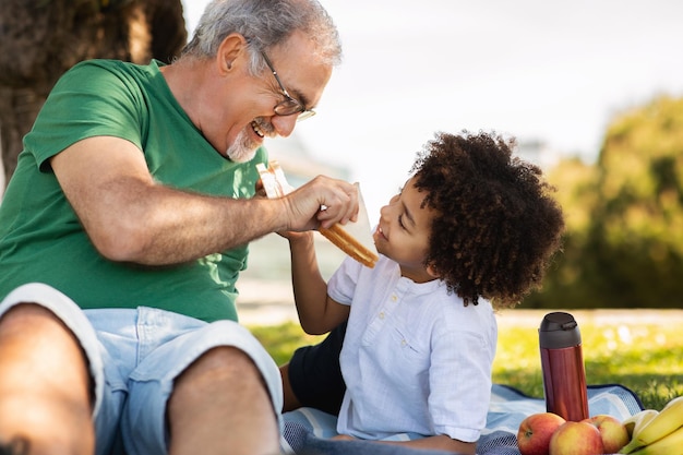 Feliz anciano abuelo europeo y niño de raza mixta yacen en plaid en el parque disfrutan del tiempo libre