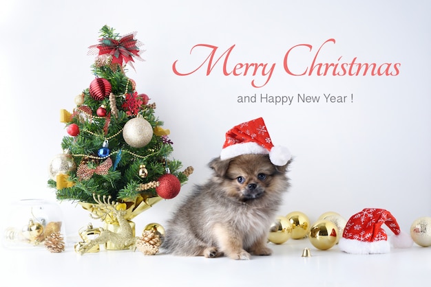 Feliz ano novo, natal, cachorro com chapéu de papai noel, bolas de celebração e outra decoração