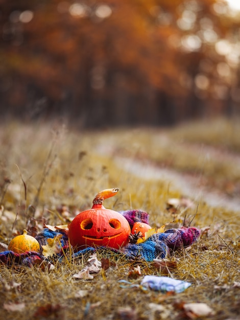 Feliz calabaza de Halloween con cara feliz en el bosque de otoño