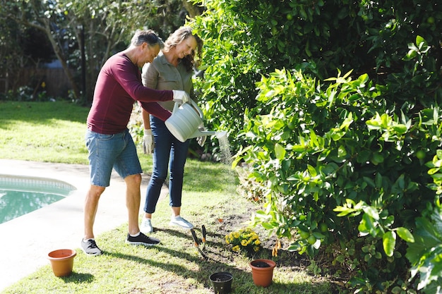 Feliz casal caucasiano sênior jardinagem juntos no jardim ensolarado. estilo de vida saudável de aposentadoria, passando o tempo em casa.