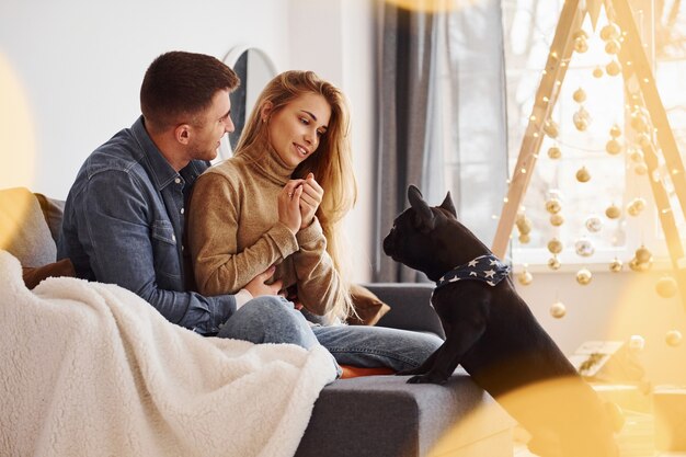 Feliz casal moderno sentado no sofá em casa com a árvore de Natal com seu cachorro fofo.