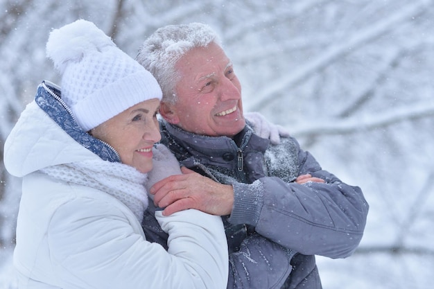 Feliz casal sênior no inverno ao ar livre