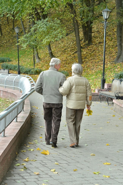 Feliz casal sênior no parque outono andando de volta