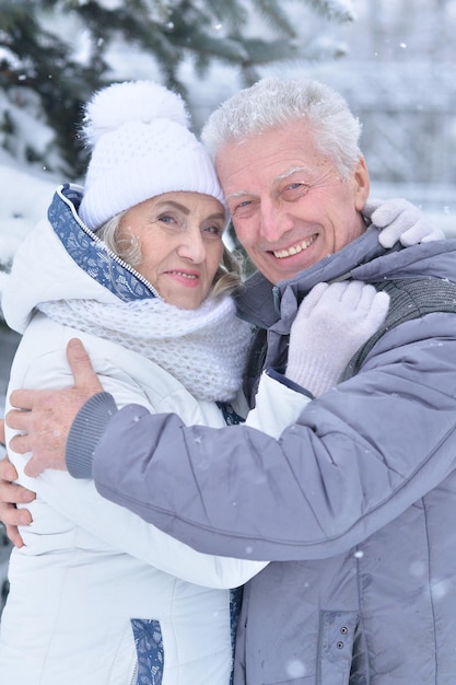 Feliz casal sênior posando no inverno ao ar livre