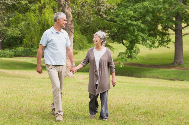 Feliz casal sênior segurando as mãos e caminhando no parque