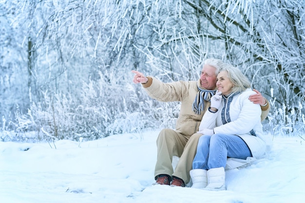 Feliz casal sênior sentado na neve ao ar livre. homem apontando