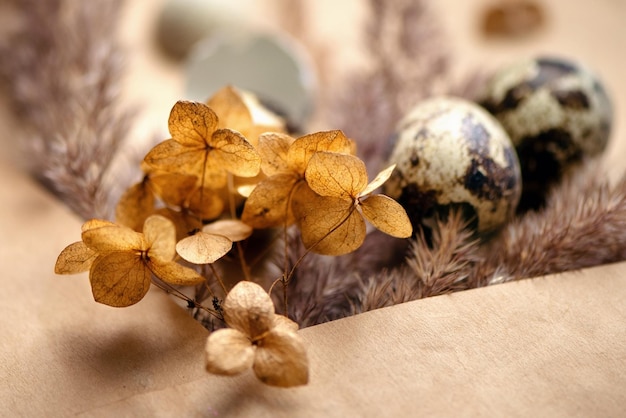 Feliz composición de pascua con huevos de codorniz y hierba esponjosa seca y flores de hortensia en papel artesanal