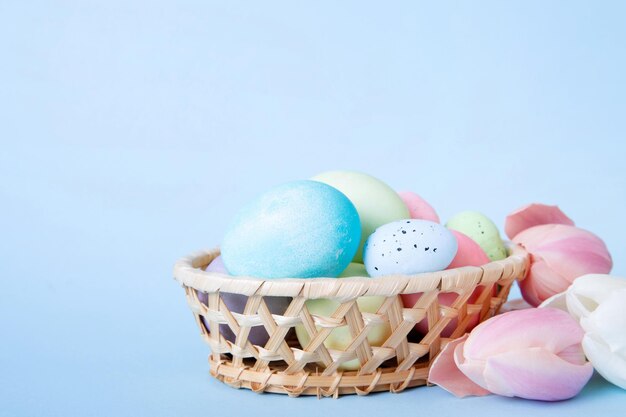 Feliz composición de Pascua Huevos de Pascua en canasta en mesa de colores con tulipanes amarillos Huevos de colores teñidos naturales de fondo con espacio de copia