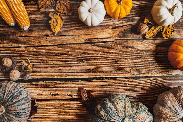 Feliz día de acción de gracias con calabaza y nuez en mesa de madera