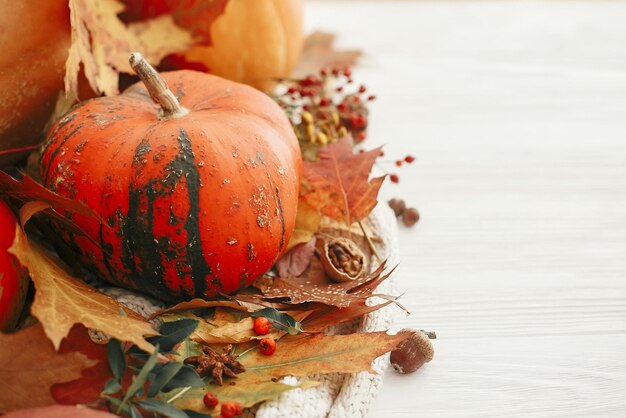 Feliz Día de Acción de Gracias Calabazas con hojas de otoño bayas canela anís bellotas nueces flores de otoño en suéter de punto blanco Hygge estilo de vida acogedor estado de ánimo de otoño