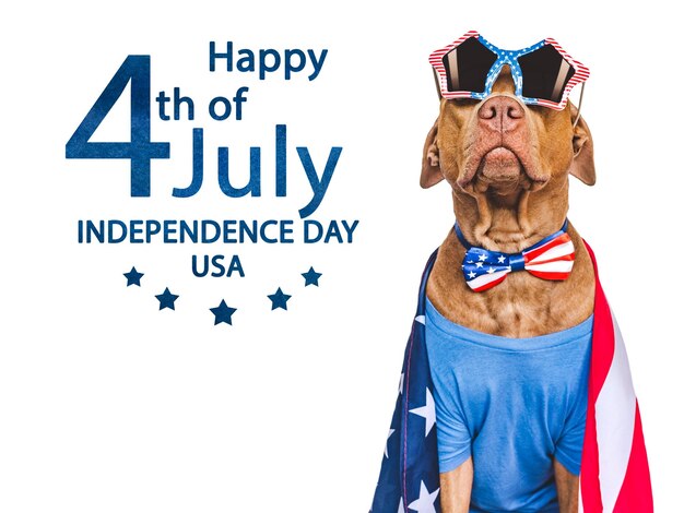 Foto feliz dia da independência bandeira americana e lindo cachorrinho marrom