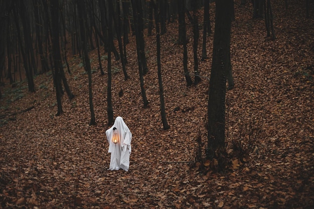Feliz Dia das Bruxas Fantasma assustador segurando lanterna brilhante na floresta de outono sombria e escura Pessoa vestida com lençol branco como fantasma com luz na floresta de outono à noite Boo Horror time