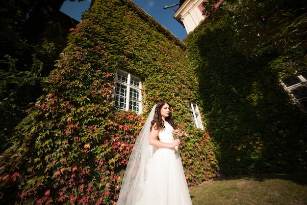 Feliz Dia de casamento