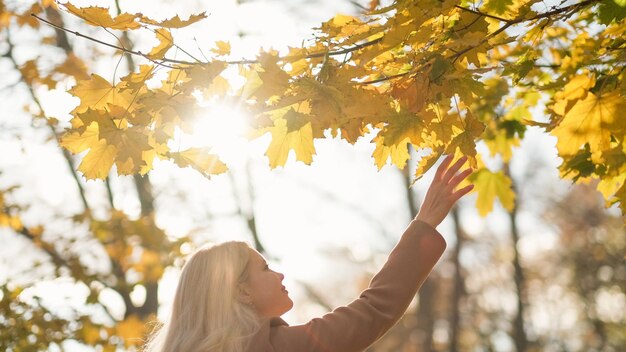 Feliz día de otoño mujer romántica disfrutando de la vida feliz dama tocando hojas de arce caminando soleado