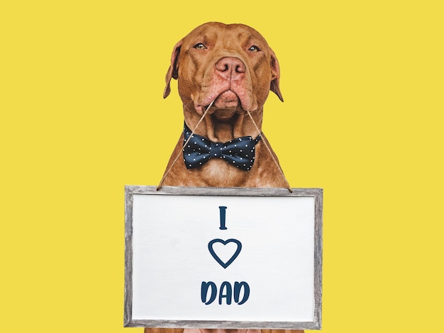 feliz, día padre, lindo, marrón, perrito, primer plano