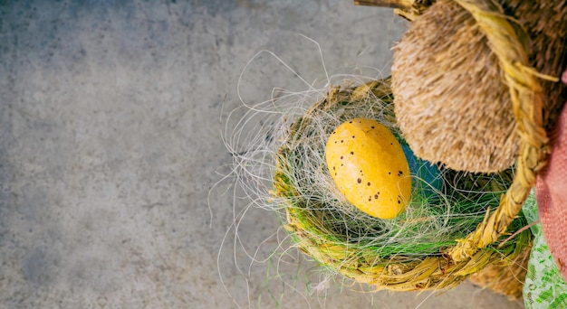 Feliz día de Pascua, conejito y huevo, los cristianos de todo el mundo celebran