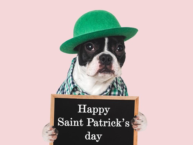 Feliz día de San Patricio, querido y bonito cachorro.