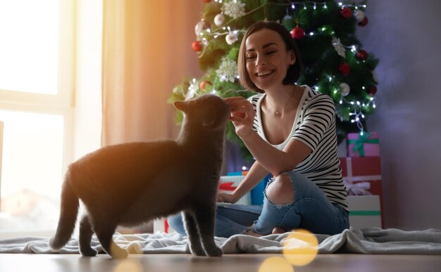 Feliz e encantadora jovem morena brinca com seu gato britânico enquanto está sentada no chão em casa no fundo da árvore de Natal