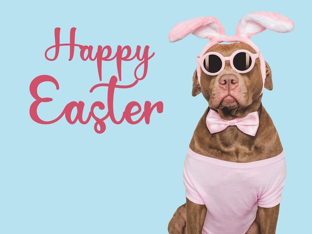 Feliz Easter Brown perro y una canasta de huevos de Pascua