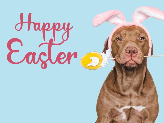 Foto feliz easter brown perro y una canasta de huevos de pascua