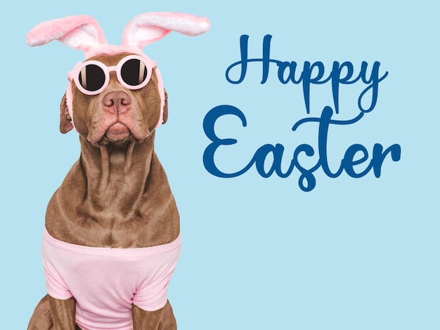 Foto feliz easter brown perro y una canasta de huevos de pascua