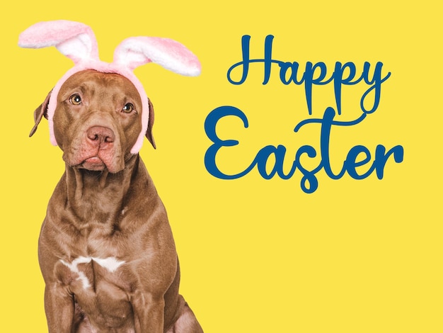 Foto feliz easter brown perro y una canasta de huevos de pascua