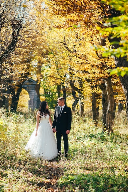 Feliz y enamorado, la novia y el novio caminan en el parque de otoño el día de su boda