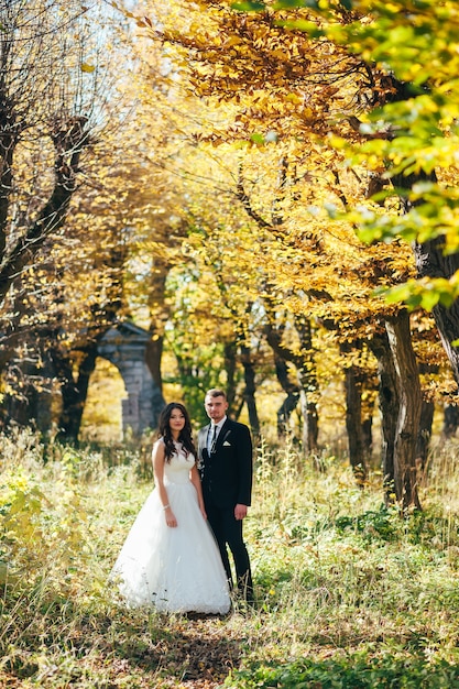 Feliz y enamorado, la novia y el novio caminan en el parque de otoño el día de su boda