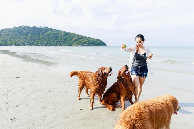 Feliz família golden retriever joga bola junto com mulher na praia tropical Animais de estimação amigáveis