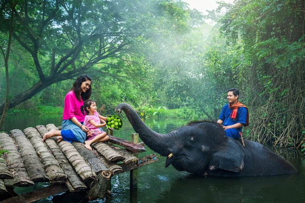 Feliz, família, mahout, tailandia