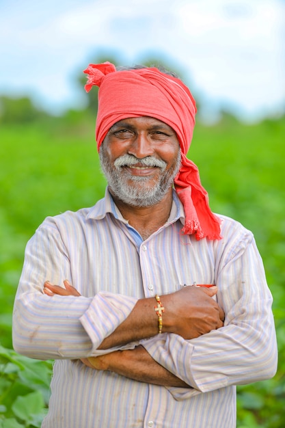 Feliz fazendeiro indiano em um campo de algodão verde