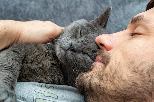 Feliz gato gris duerme, abrazos en el hombro, pecho de un hombre