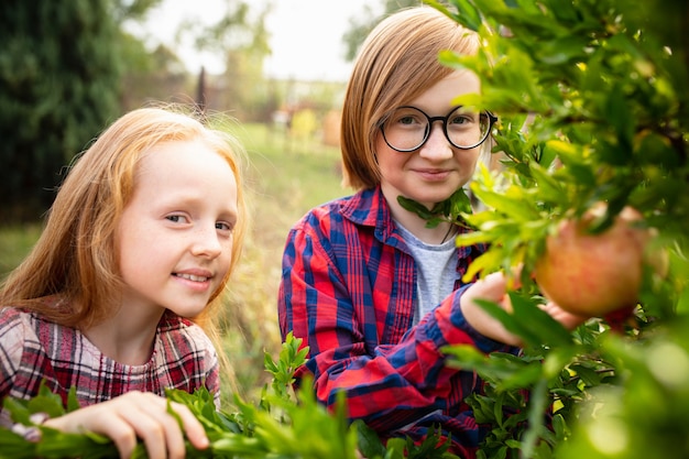 Feliz hermano y hermana recogiendo manzanas en un jardín al aire libre juntos