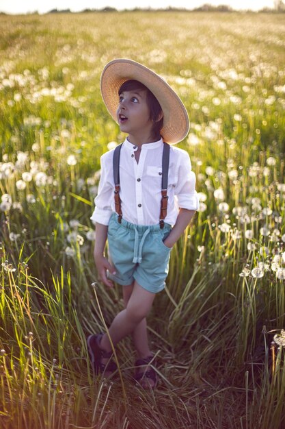 Feliz, un hermoso niño con sombrero se para en un campo con dientes de león blancos al atardecer en verano