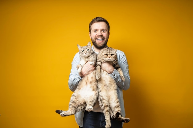 Feliz hombre barbudo sonriente, el dueño abraza a sus dos lindos gatos, uno de ellos