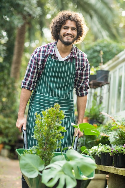 Feliz jardineiro masculino carregando plantas no carrinho de mão