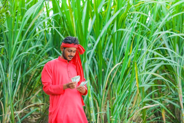 Feliz jovem agricultor indiano contando e mostrando dinheiro no campo de cana