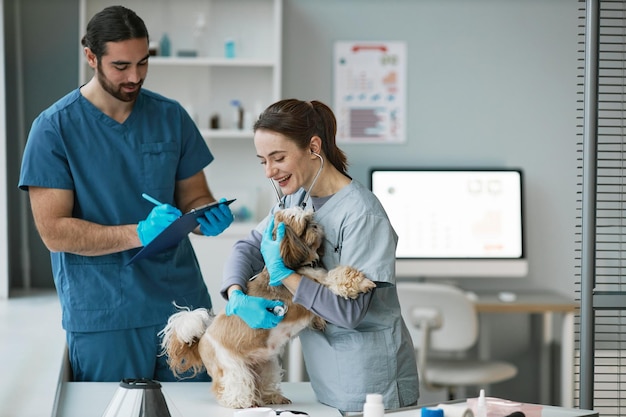 Feliz jovem clínica veterinária examinando lindo yorkshire terrier